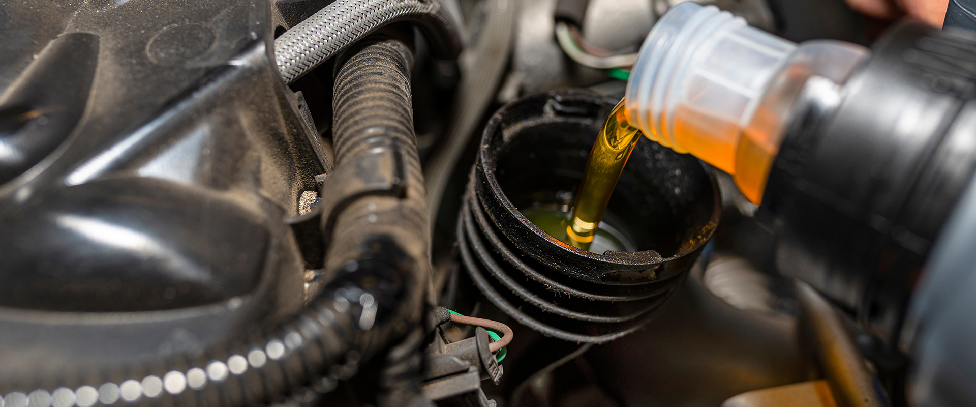oil change franklin